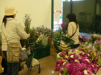 花写真