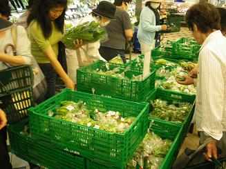 旬の野菜