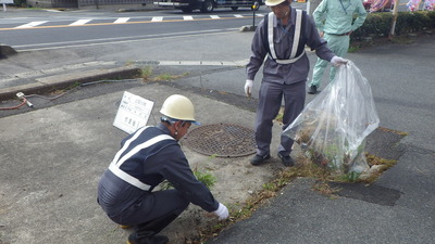 掃除（ゴミ、除草）