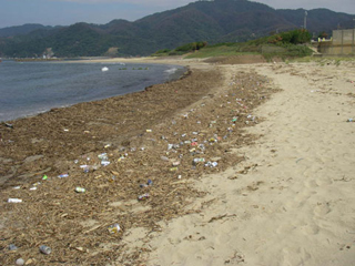 砂浜の漂着（ひょうちゃく）ゴミ