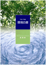 17年度白書 17年度白書