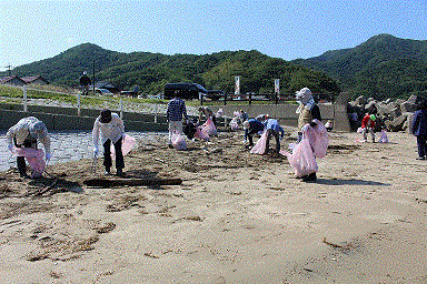 海岸のごみ拾いの様子