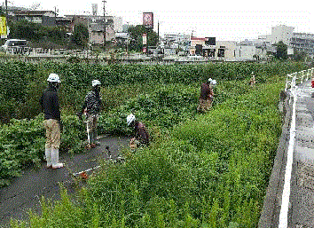 川沿いの草刈りの様子