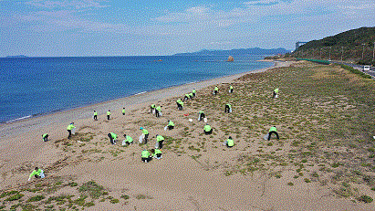 海岸でごみを拾う様子