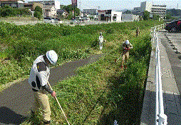 川沿い土手の草刈りの様子