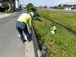 河川敷のごみ拾いの様子