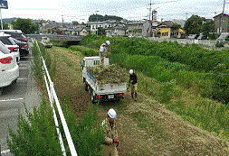 刈草を軽トラックの荷台に積んでいる様子