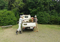 刈り草を軽トラックの荷台に積む様子