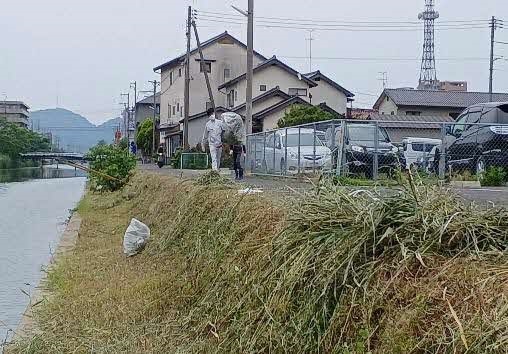 天神川での作業風景