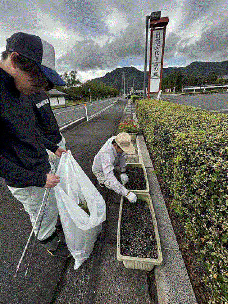 道路沿いのプランターの植栽の様子