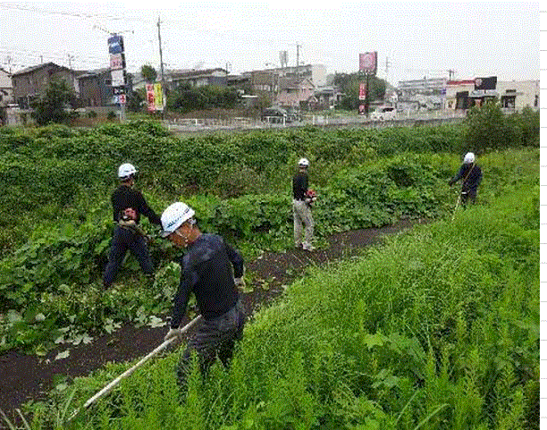 川沿いの草刈りの様子