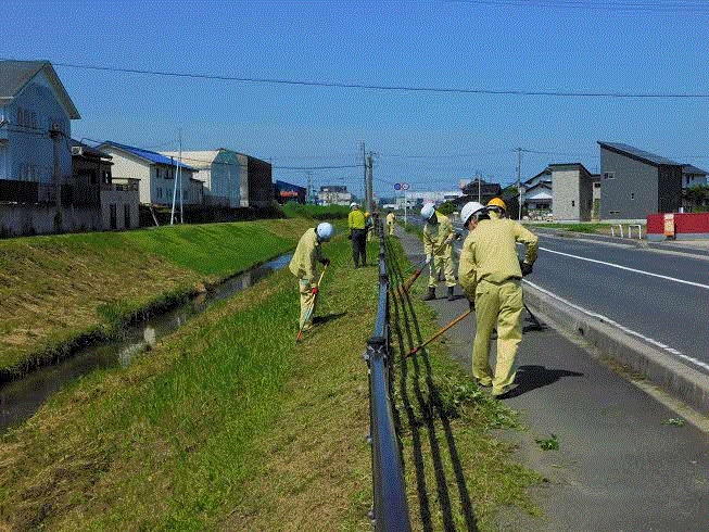 道路沿いの草刈りの様子