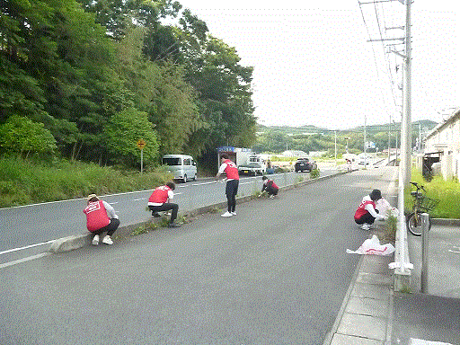 歩道脇のごみ拾いや草取りの様子