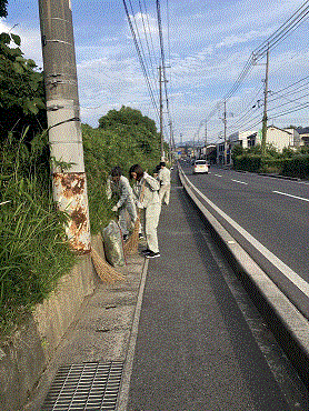 歩道脇の草刈りの様子