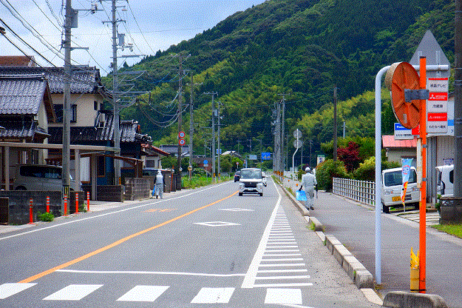 道路沿いのごみ拾いの様子