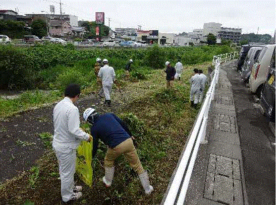 馬橋川右岸の草刈りの様子