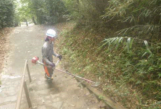 公園の草刈りの様子