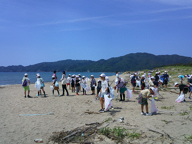 海岸でのごみ拾いの様子