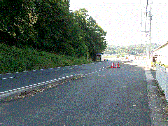 清掃後の道路周辺の様子