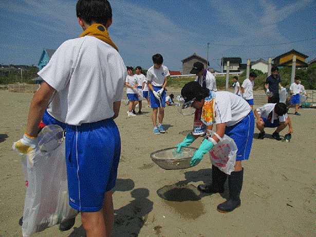 海岸でのごみ拾いの様子