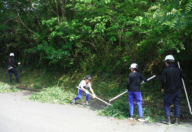 道路沿いの草刈りの様子