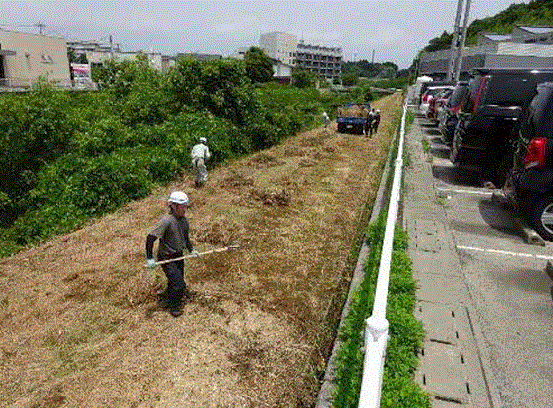 川沿いの草刈りの様子