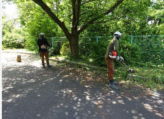 公園の草刈りの様子