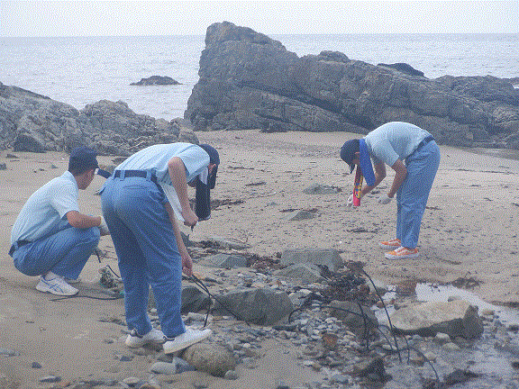 海岸でのごみ拾いの様子