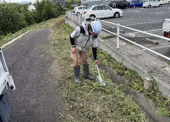 草刈りの様子