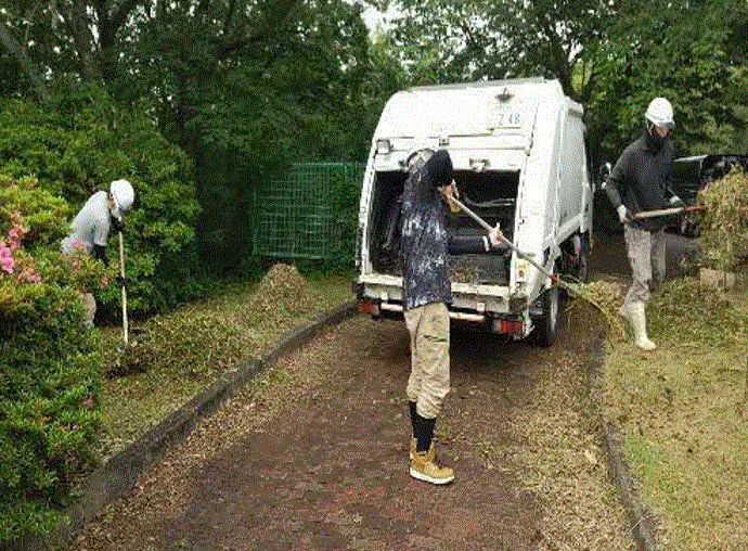 ごみを集めている様子