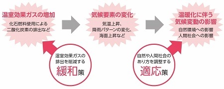 緩和と適応