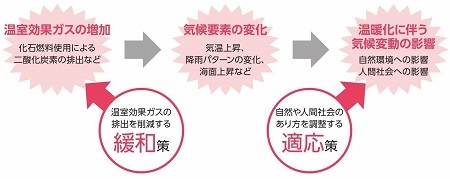 緩和と適応