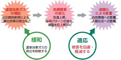 緩和と適応