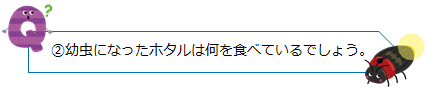 幼虫になったホタルは何を食べているでしょう