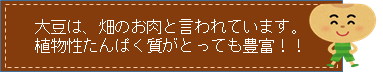 大豆は畑のお肉と言われています。植物性タンパク質がとっても豊富！