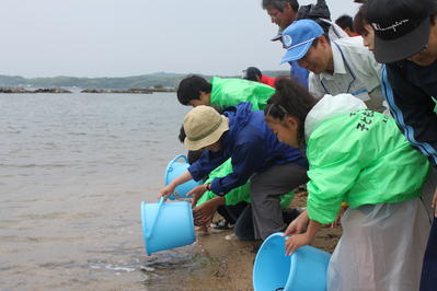 うなぎ放流