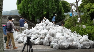 収集したゴミの写真