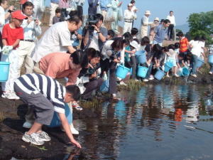 放流活動