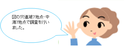 調査地点数宍道湖７地点、中海7地点