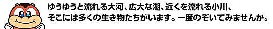 ゴビウス案内図