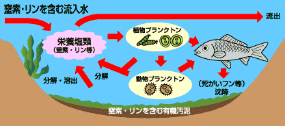 宍道湖中海の水質