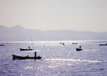 宍道湖のシジミ漁