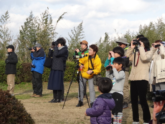 鳥ヶ﨑での観察会の写真（観察風景）