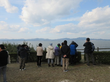 鳥ヶ﨑での観察会の写真（観察会風景）