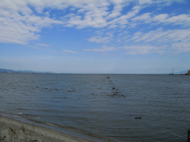 写真（中海）