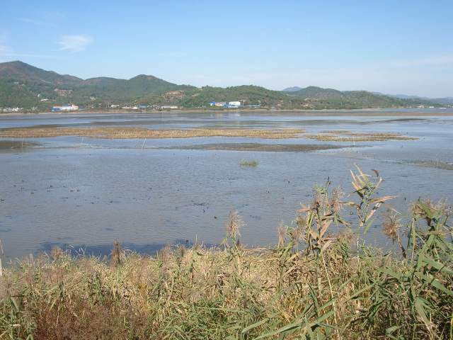 ジュナム湿地