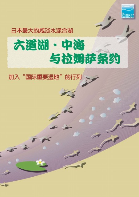 pamphlet(Chinese)