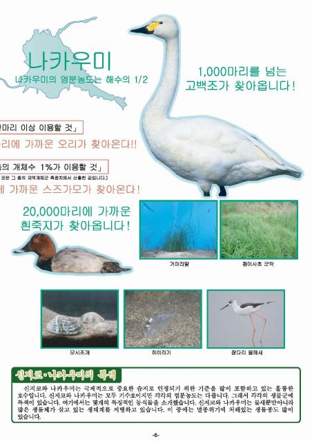 Page6ofaKoreanpamphlet