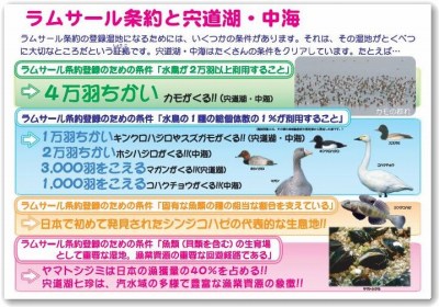 パネル見本７