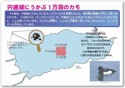 パネル見本８